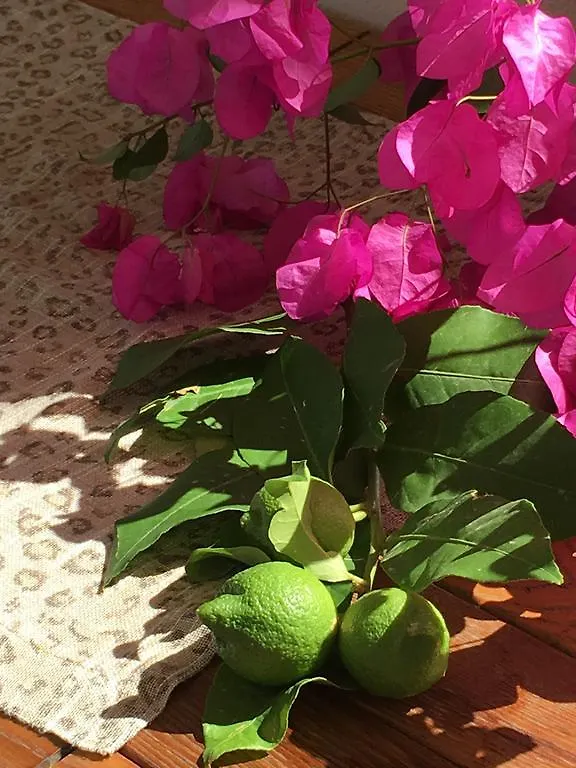 Nomia Boutique Hotel Yalikavak